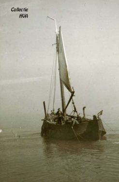 Nog een opgeboeide hoogaars.