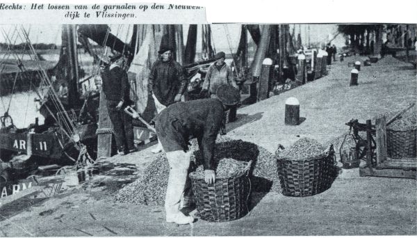 Het lossen van de garnalen op de Nieuwendijk te Vlissingen.