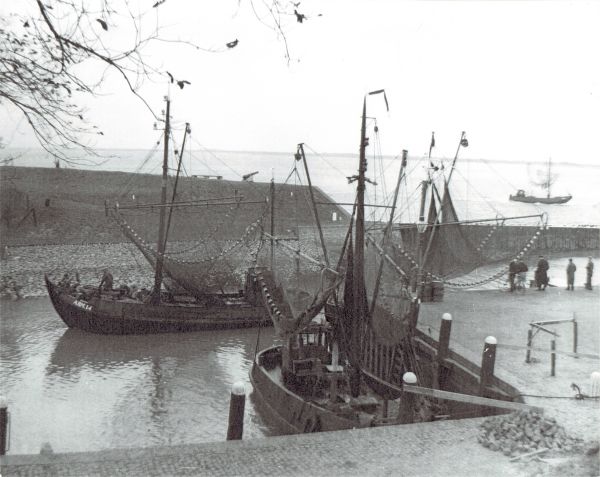 De oude vissersschuiten, zo'n vertrouwd beeld aan de kade van Veere, zullen plaats moeten maken voor sterkere schepen die vanuit Colijnsplaat gaan vissen. (Uit collectie Jhr. W.L. den Beer Poortugael, Veere).