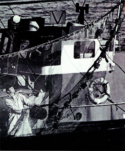 De vissersvloot praktisch geheel vernieuwd en verbeterd.