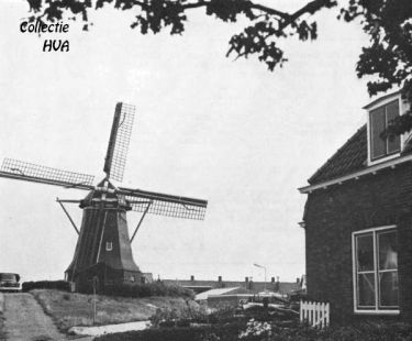 De klompenmakerij van De Klerk. Achter de stapels boomstronken is de mosselfabriek te zien.