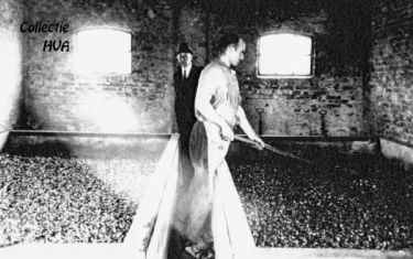 Ook in de puffabriek is elke dag veel werk. De garnalenpellen worden hier gedroogd en tot vismeel verwerkt. Links eigenaar Piet Pelle en rechts Piet Stroo.