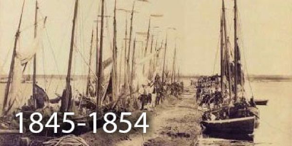 1845-1854t1aff524d-106f-d57c-d794-ad136c73d4f9F9F106F9-99D6-669F-4F77-C0E7756861E9.jpg